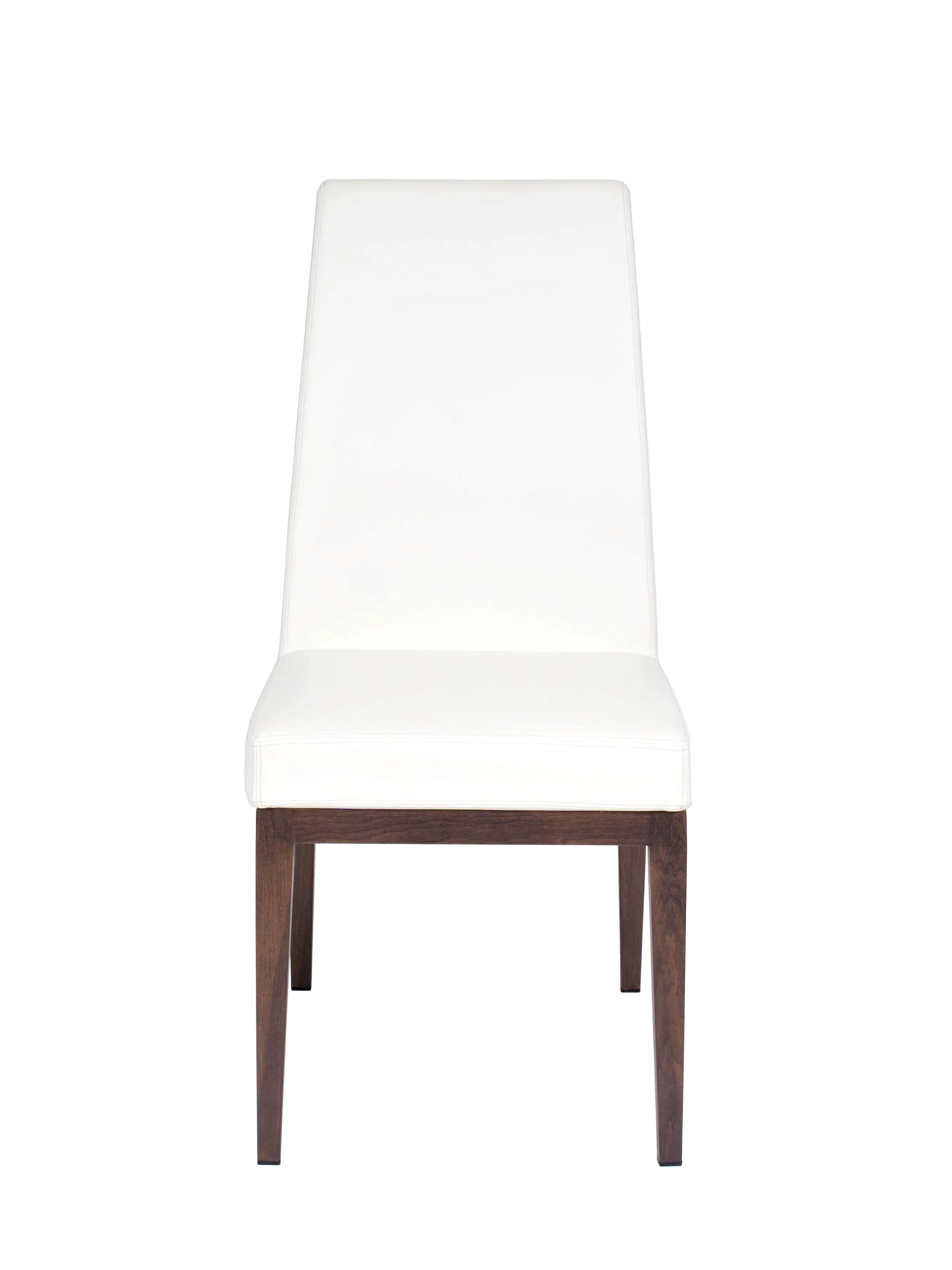 Erika Chair in White Seating
