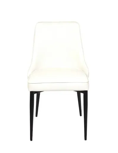 Robin Chair in White Seating