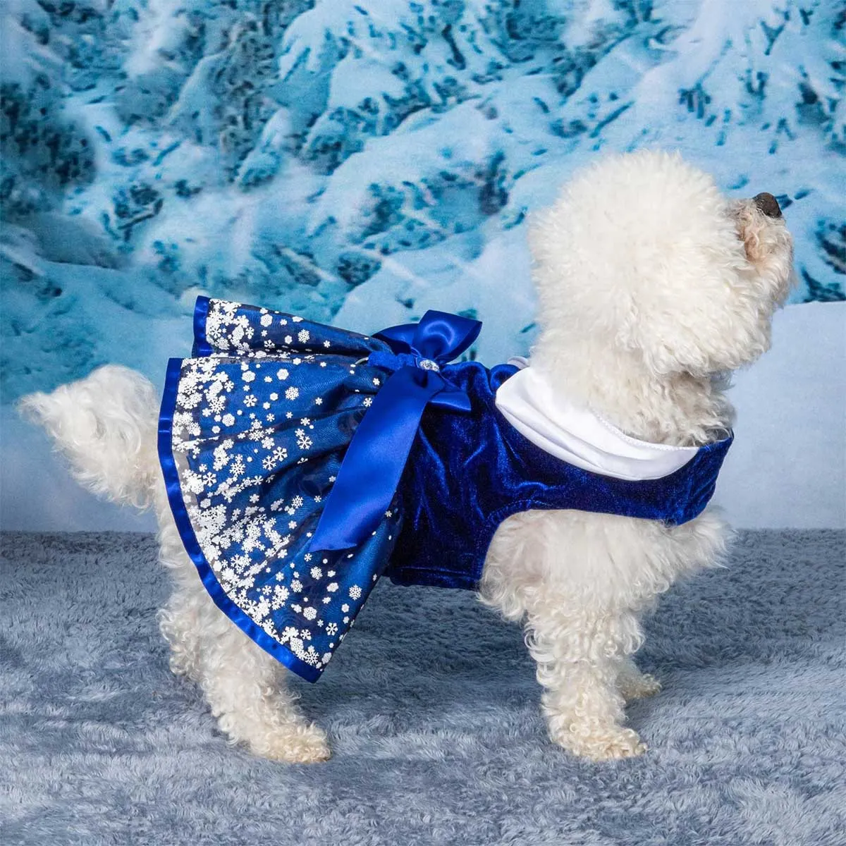 Snowflakes Holiday Dog Harness Dress