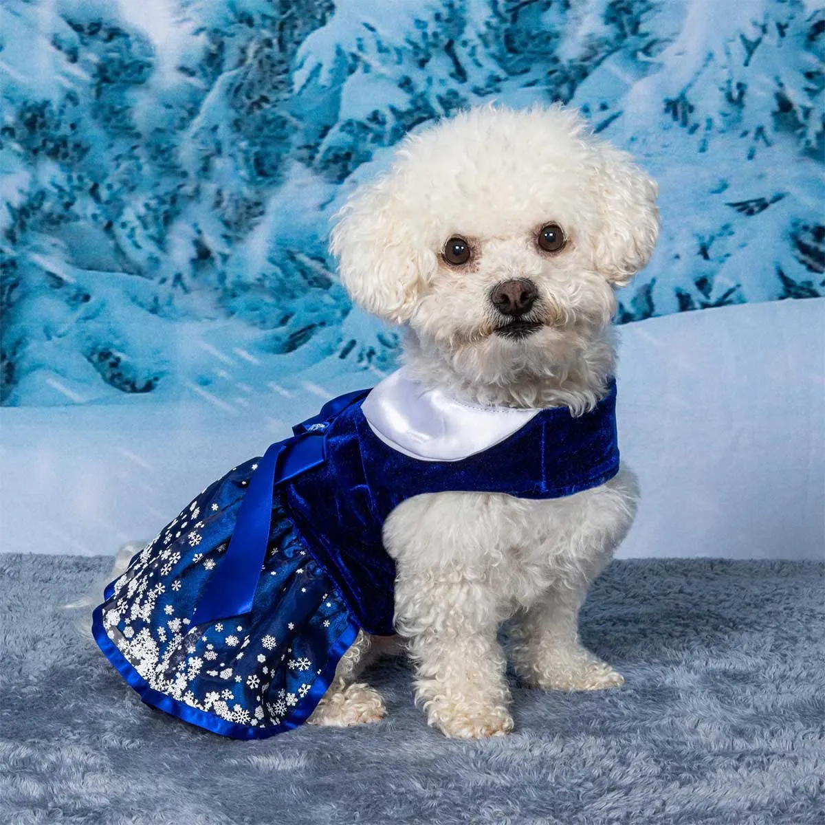 Snowflakes Holiday Dog Harness Dress